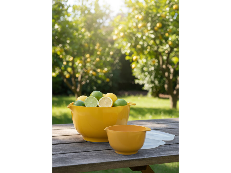 ROSTI Margrethe Bowl 2pc set with Lids Classic (2Q + 3Q)