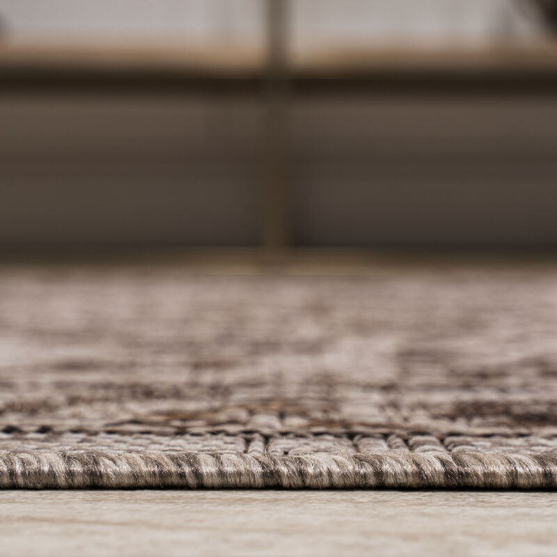 Jerash Ornate Medallion Indoor/Outdoor Area Rug