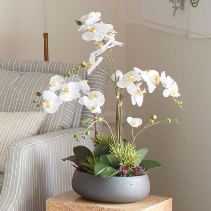 Artificial Orchid with Succulents image number 7