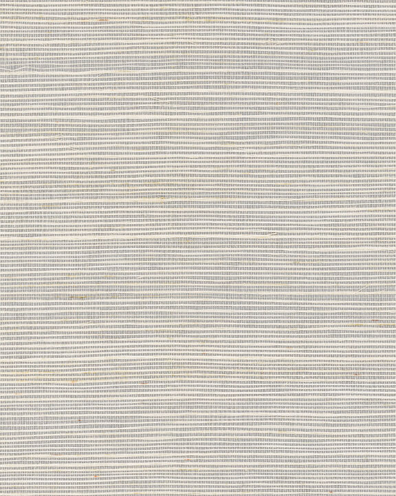 Maguey Sisal Cloudy Wallpaper