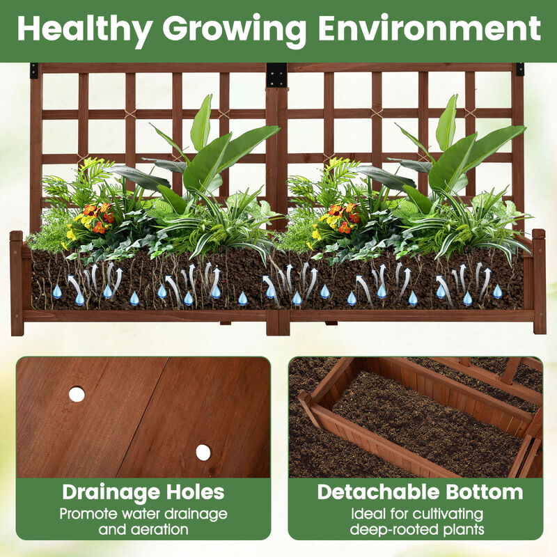 Dual Wooden Raised Garden Bed with Trellis and Drainage Holes image number 4