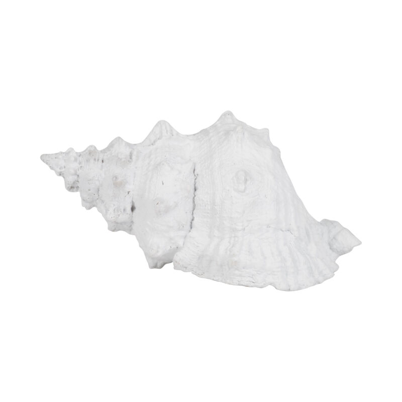 9" Conch Shell, White image number 3