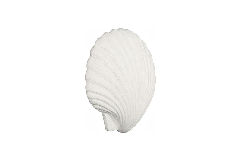 Sea Shell Wall Art image number 2