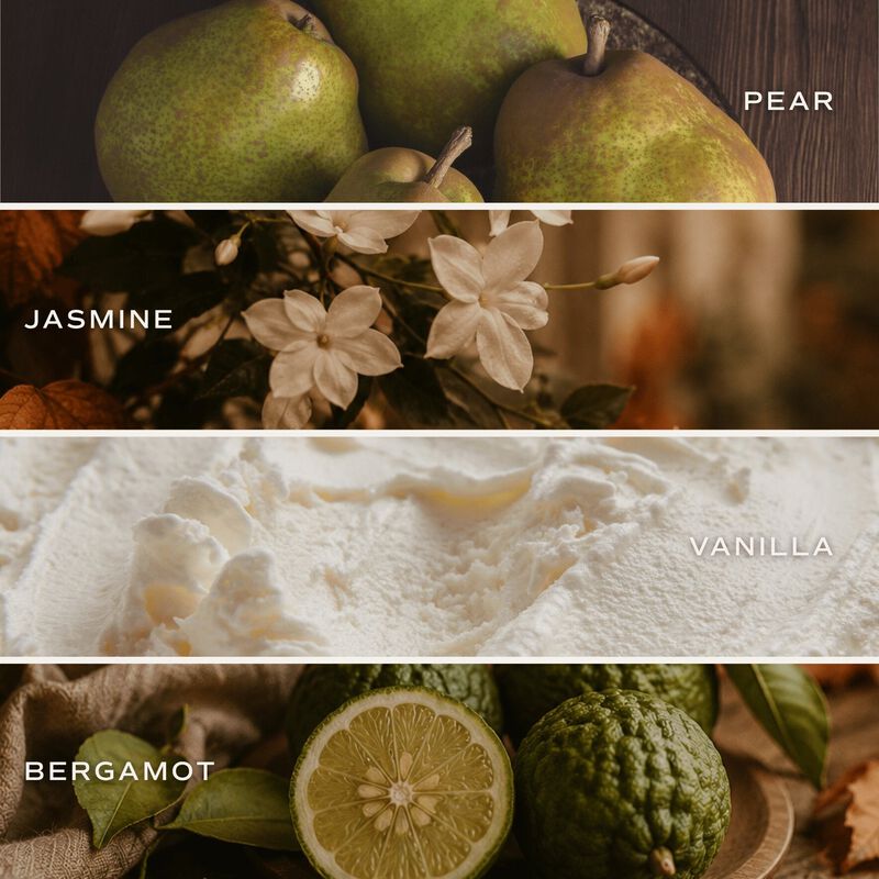 Sweet Water Decor Cashmere and Vanilla 13 oz Soy Candle, Cement Pumpkin Jar image number 3