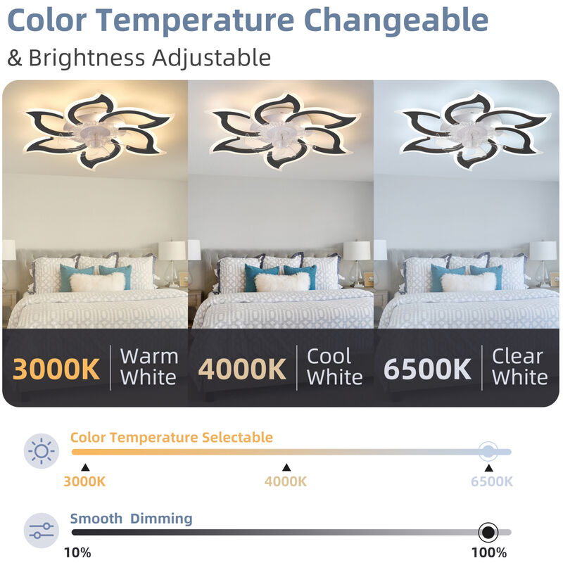 ELEMENT ACE Modern Ceiling Fan with Remote Control, 6 Speed Settings and Adjustable Lighting image number 8