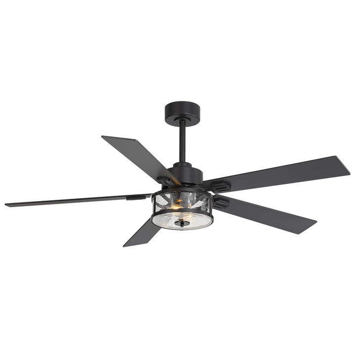 Breezary 56" Ceiling Fan with Lights, 5 Wood Blades, 6 Speed Remote Control, E12 Light Kit
