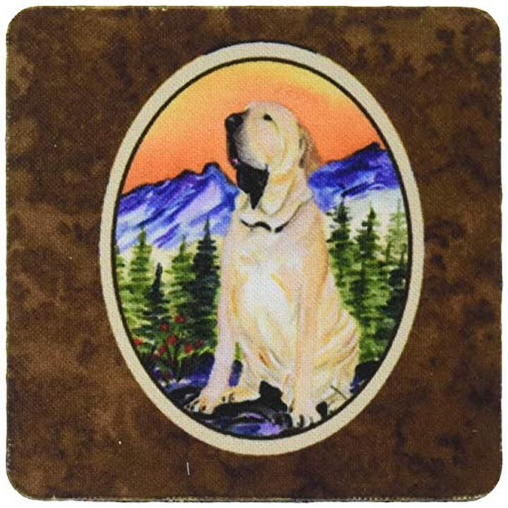 Caroline's Treasures SS8169FC Brazilian Mastiff/Fila Brasileiro Foam Coasters (Set of 4), 3.5 H x 3.5 W, Multicolor