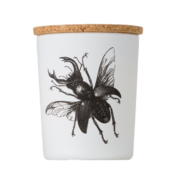 Candle in Jar INSECT 75gr LUCANUS CERVUS 2.36 diam. x 2.95 in