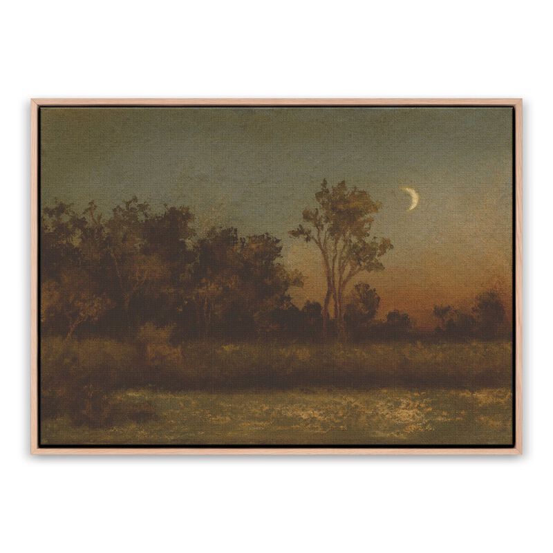 Still Of The Night Framed Art image number 0