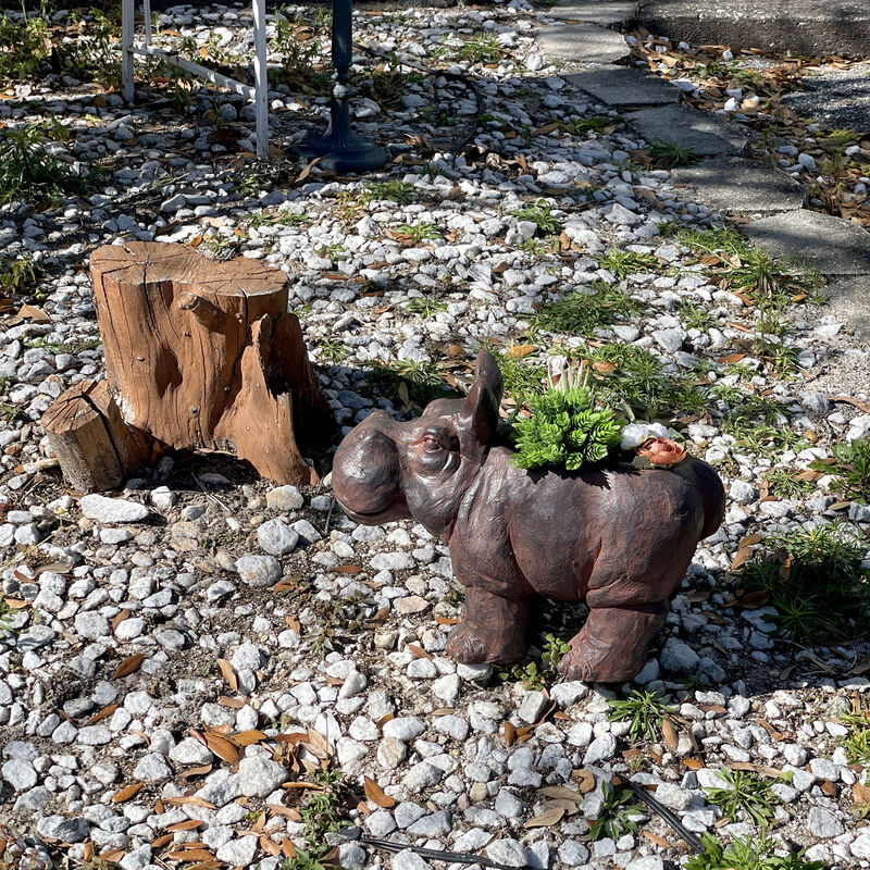 Brown 17" Hippo MGO Planter, Durable Weatherproof Magnesium - Indoor/Outdoor image number 9