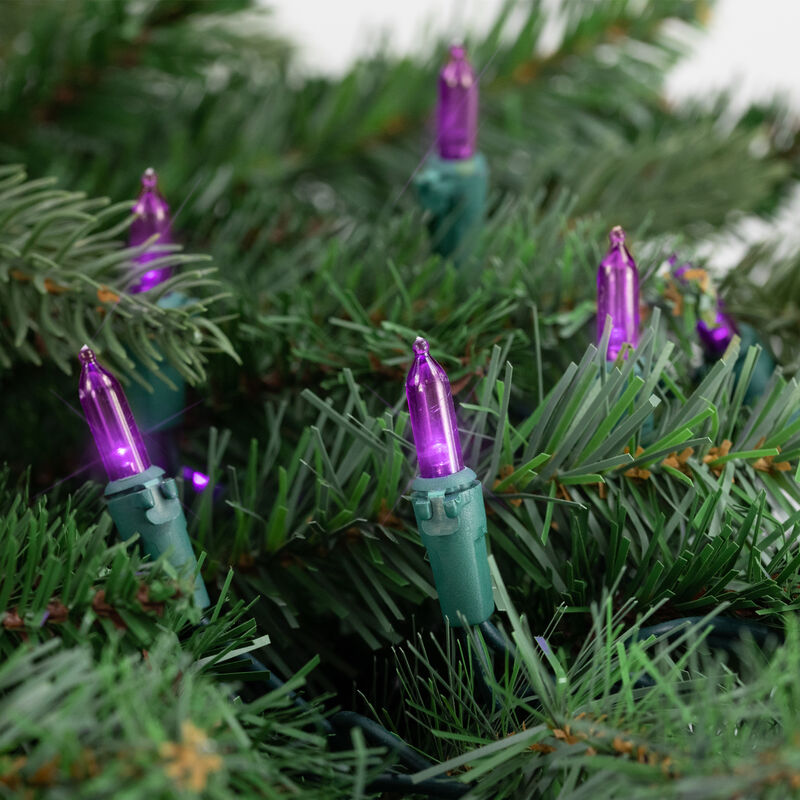 50ct Purple LED Mini Christmas Lights  16.25ft Green Wire image number 2