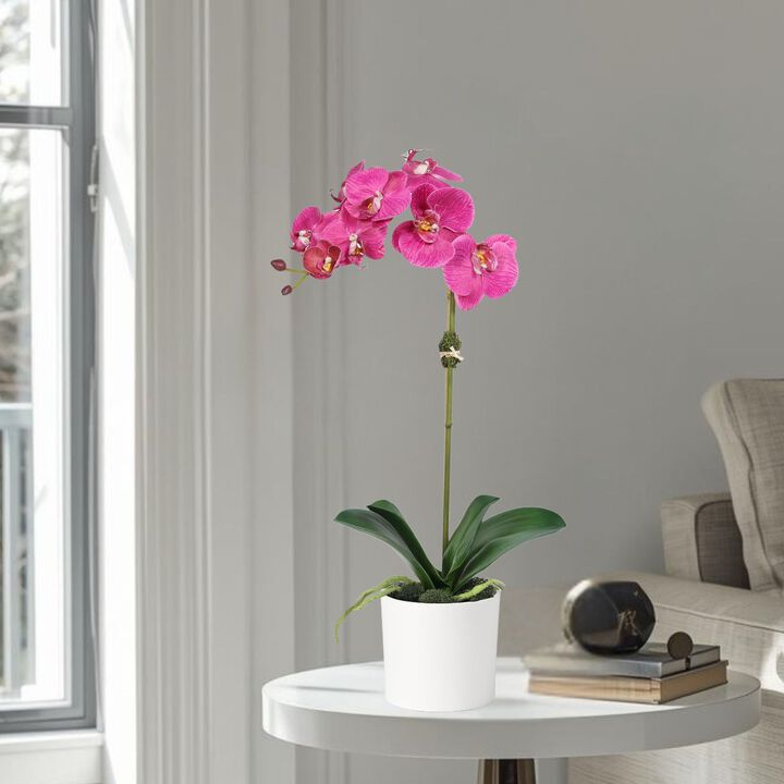 Artificial Orchid Plant in Vase - 20"
