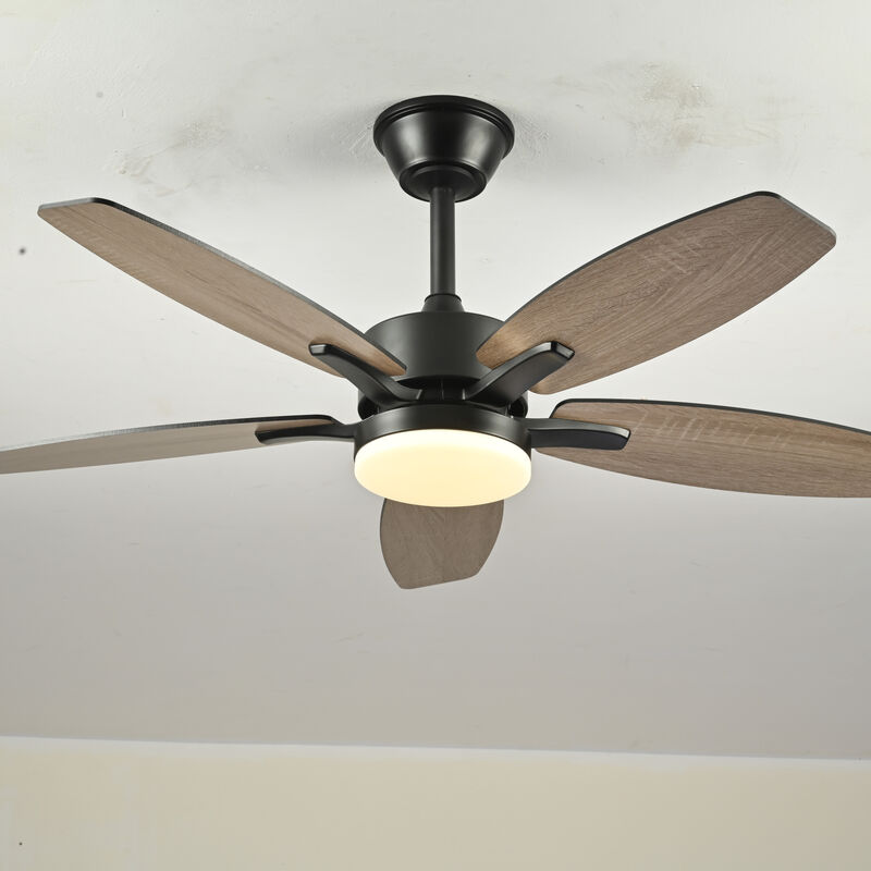 ELEMENT ACE 42 Inch 5 Plywood Blades Ceiling Fan with Lights and Remote Control, Quiet DC Motor 6 Speed Levels Reversible Fan for Indoor Living Room Bedroom Office Patio image number 4