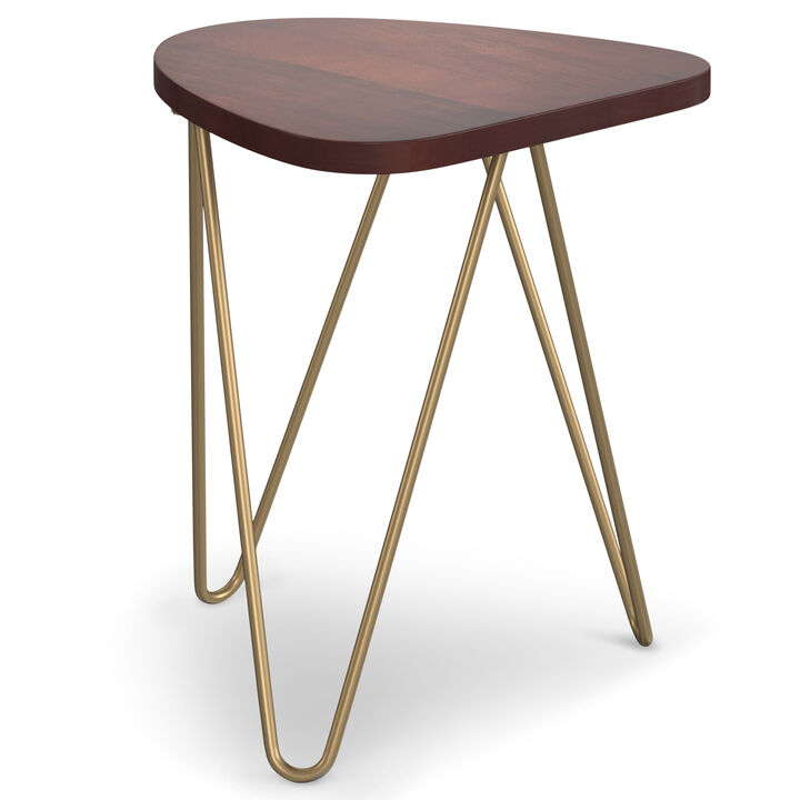 Patrice Modern 18 inch Wide Metal and Wood Accent Side Table in Dark Brown