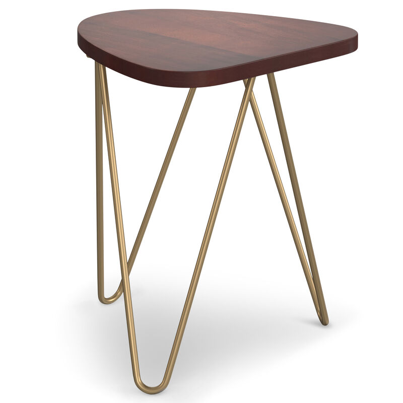 Patrice Modern 18 inch Wide Metal and Wood Accent Side Table in Dark Brown