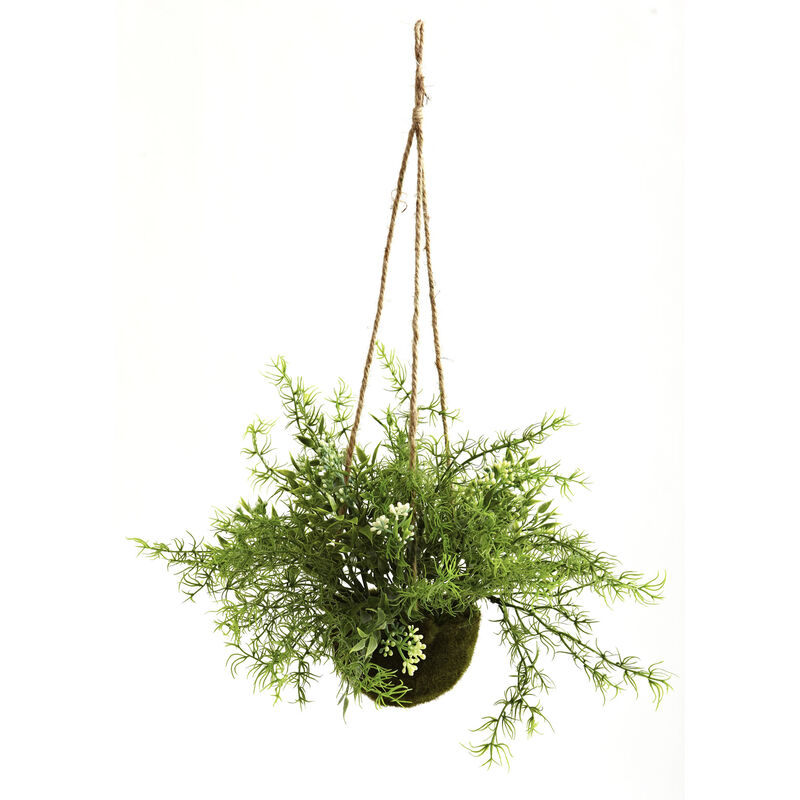 Hivvago Ruscus, Sedum & Springeri Hanging Basket (Set of 3)