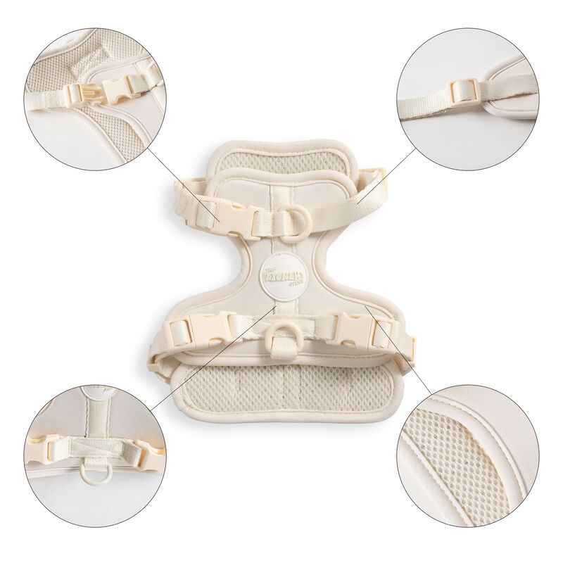 Arlo Adjustable Soft Padded No Pull Pet Harness with 3 Buckles and 3 Leash Clips