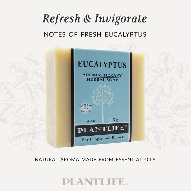 Plantlife Bar Soap - Eucalyptus 6 Pack image number 2
