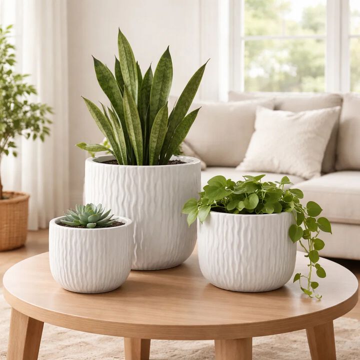 Kena Planter Set of 3, White Ceramic, Wave Texture Indoor, 13 10 8 Inch
