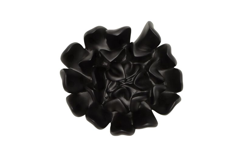 Topsy Turvy Succulent Wall Art in Matte Black
