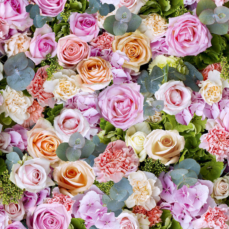 Deirdre Pink Floral Wallpaper image number 0