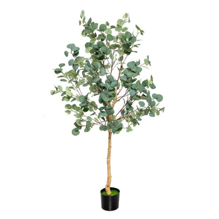 Hivvago 5.5 Feet Artificial Eucalyptus Tree with 517 Silver Dollar Leaves