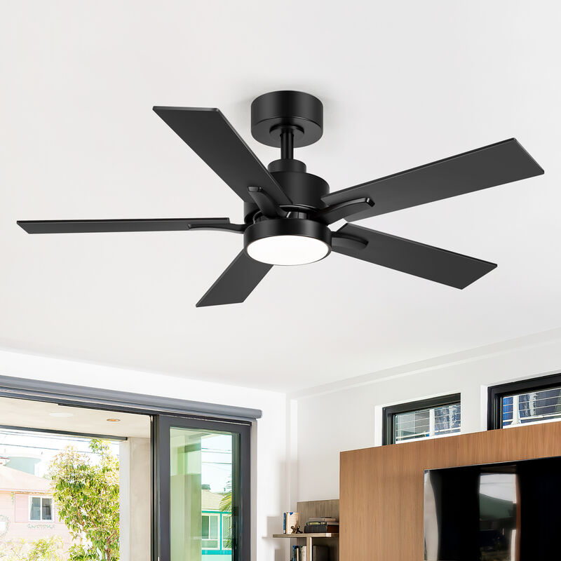 Breezary 42" LED Ceiling Fan with Light, 5 Blades, DC Motor, 6 Speeds, Remote Control image number 8
