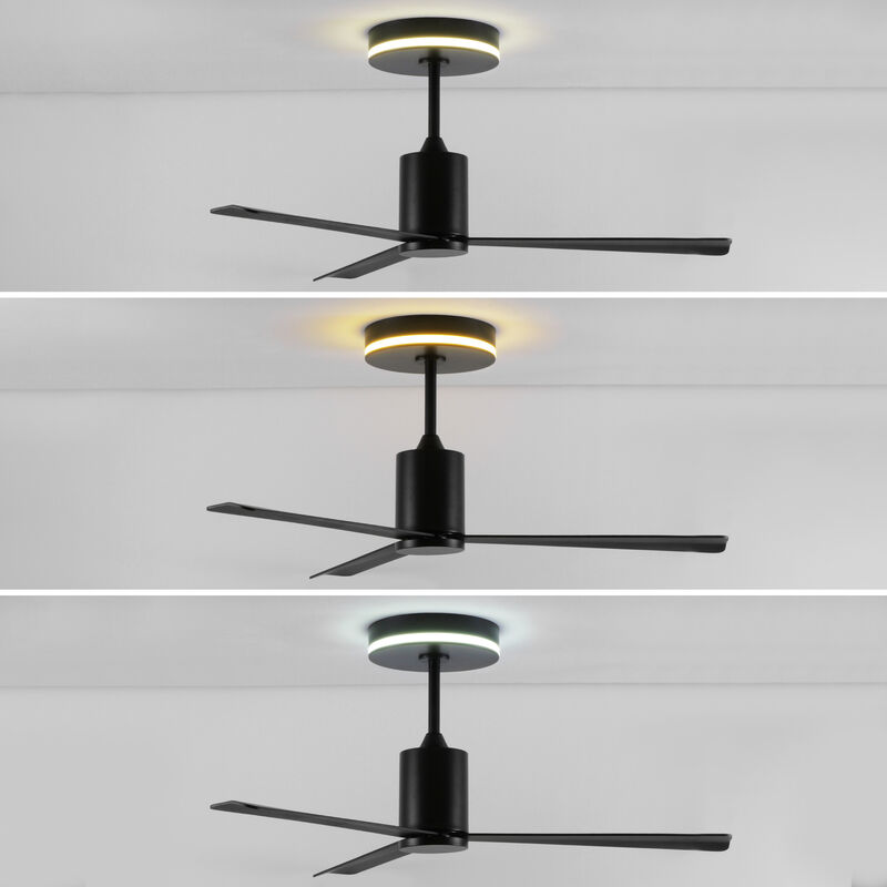 Levi 1-Light Contemporary Minimalist 6-Speed Iron Height Adjustable Integrated LED Ceiling Fan with Remote