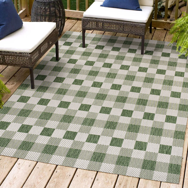 Darcy Traditional Geometric Bold Gingham Indoor/Outdoor Area Rug