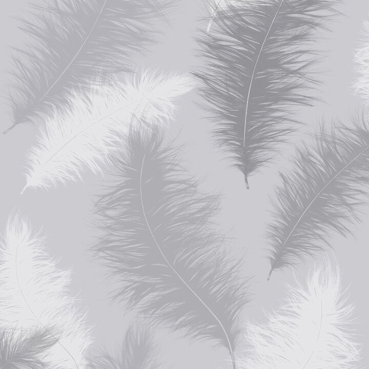 Sussurro Grey Feathers Wallpaper (Set of 2)