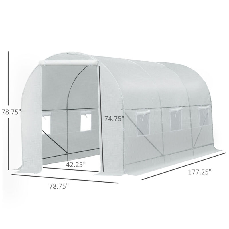 Walk-In Tunnel Greenhouse for Outdoor Gardening &amp; Plant Protection