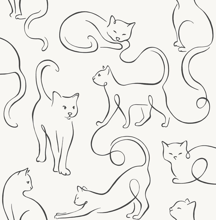 Clarice Black Cat Sketches Wallpaper
