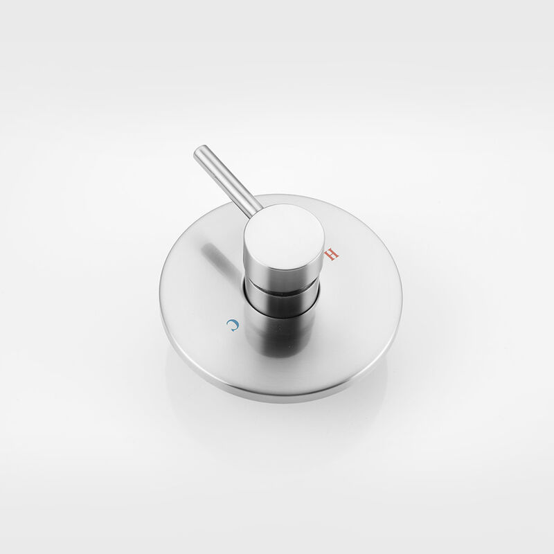 Wall Mounted Shower Faucet In Brushed Nickel (Valve Included)