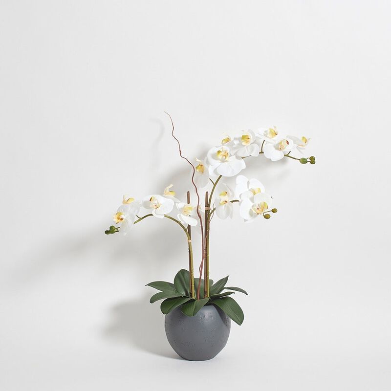 Artificial White Double Stem Orchid image number 5