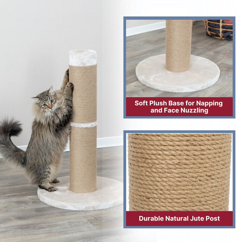 TRIXIE Rue Sisal & Plush 31.5" XXL Cat Scratching Post for Large Cats, Plush Base image number 4