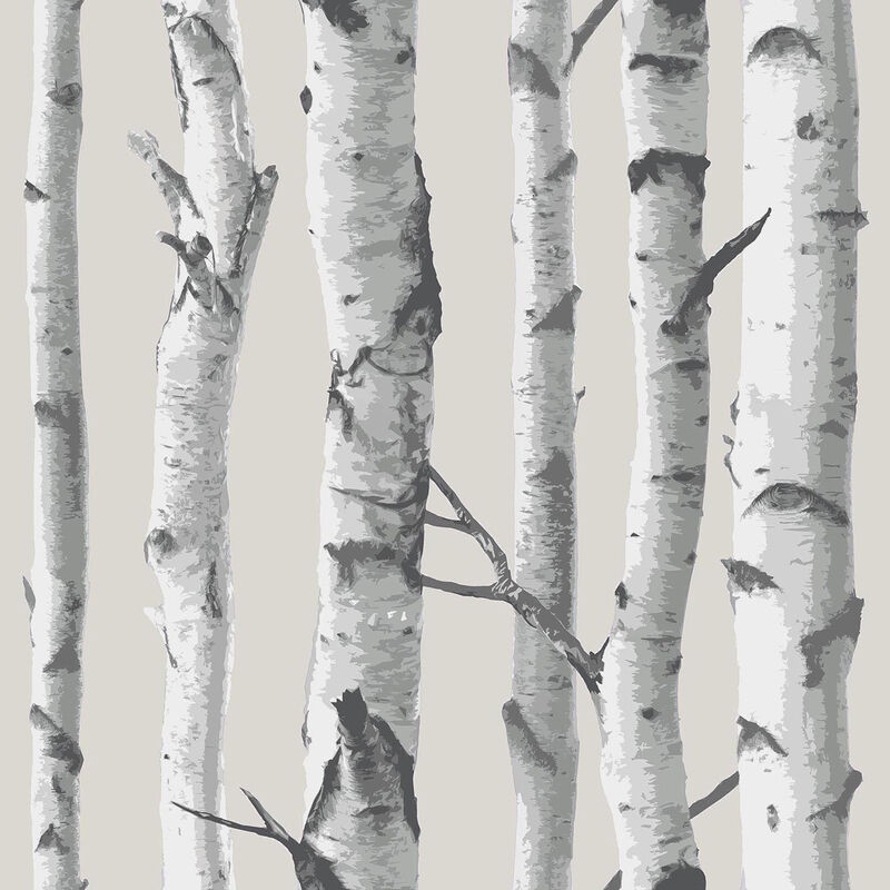 Grey Birch Tree Peel & Stick Wallpaper image number 0