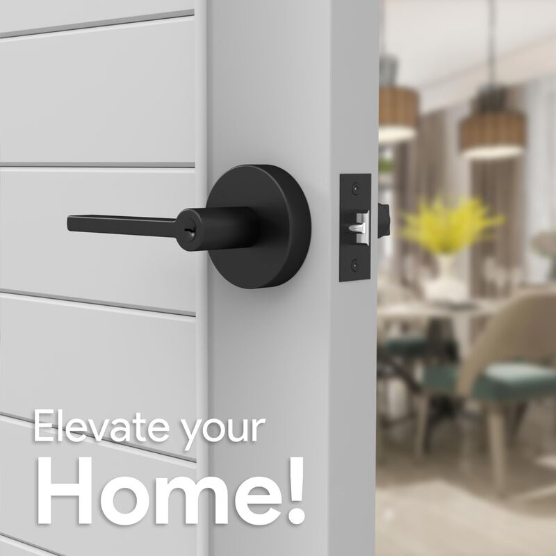 Mega Handles | Ralph Entry Lever
