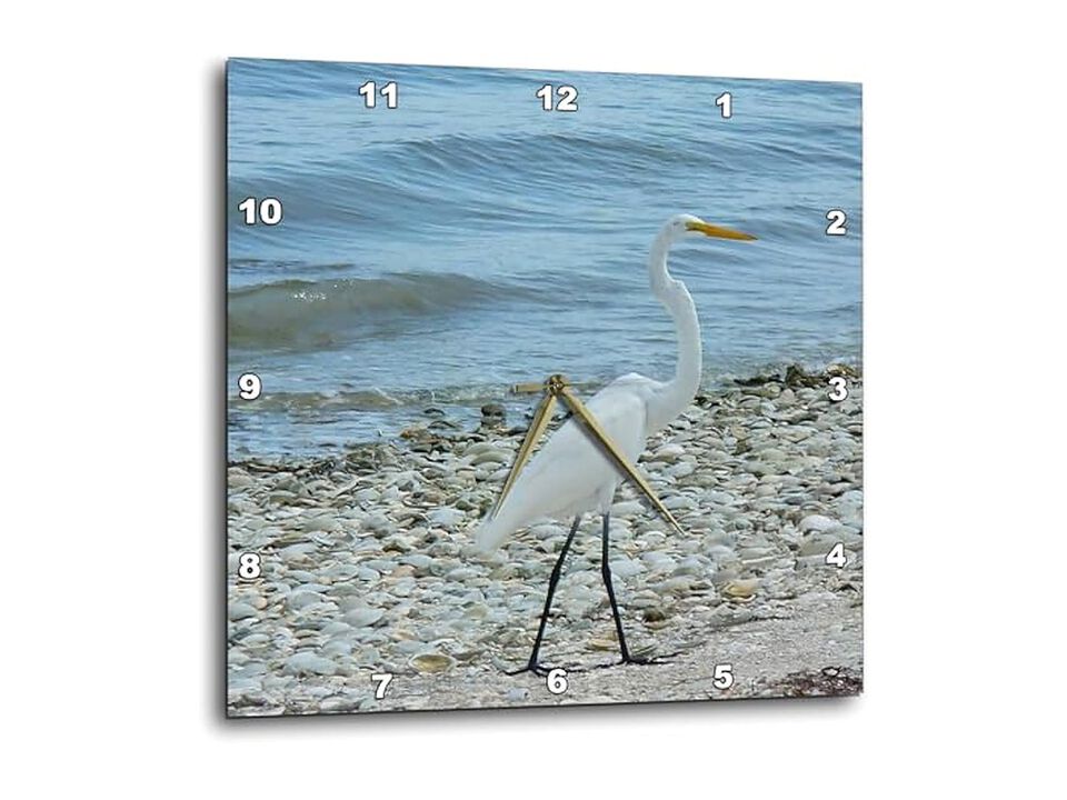 Heron Shells Wall Clock 10 Inch Home Decor