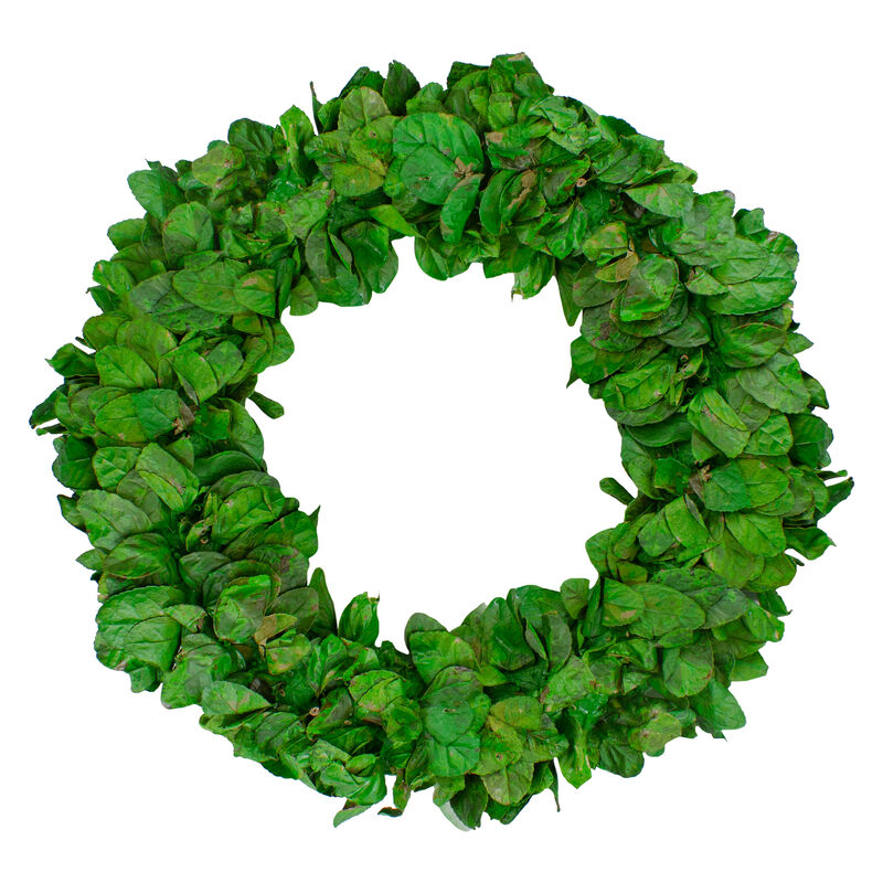 20" Lush Green Preserved Leaf Spring Garden Wreath - Unlit