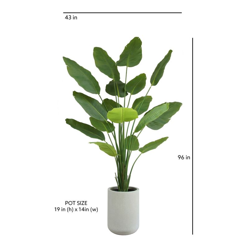 8' Bird of Paradise Tree in Modern Gray Planter image number 4