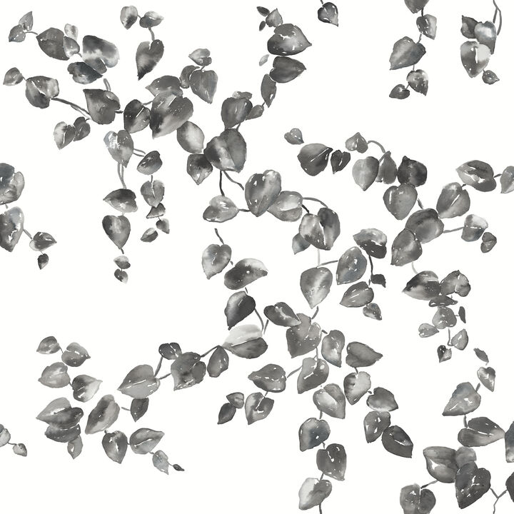 Creeping Fig Vine Black & White Wallpaper (Set of 2)