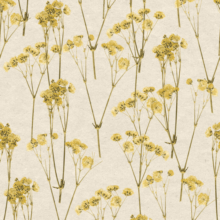 Spry Flower Wallpaper