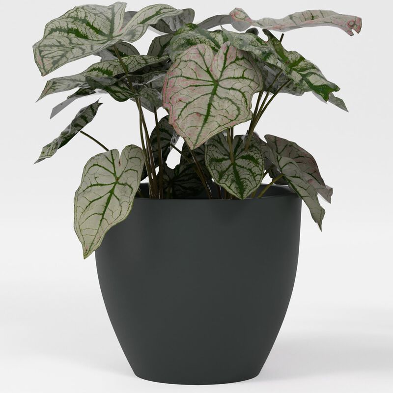 Greenline Fiberglass Lucy Large Indoor/Outdoor Round Planter.