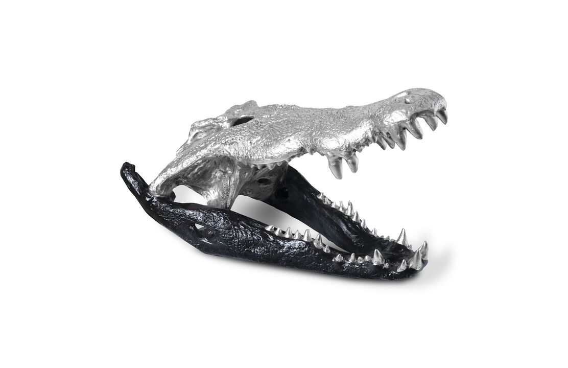 Crocodile Skull