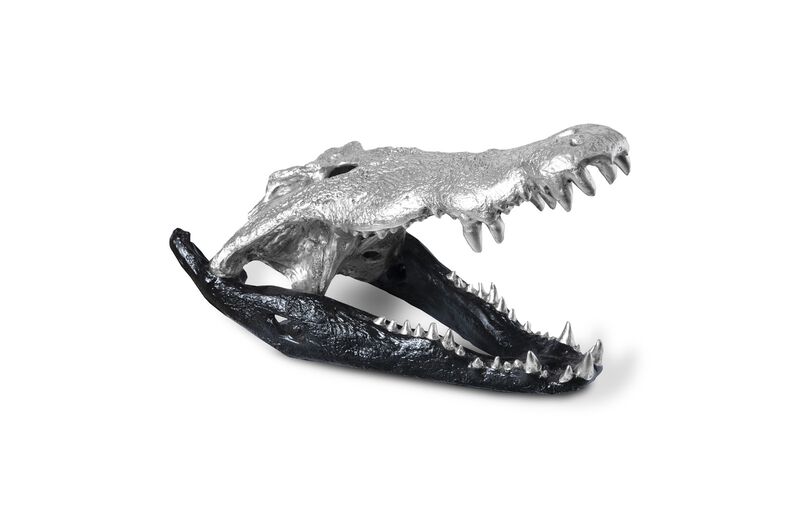 Crocodile Skull