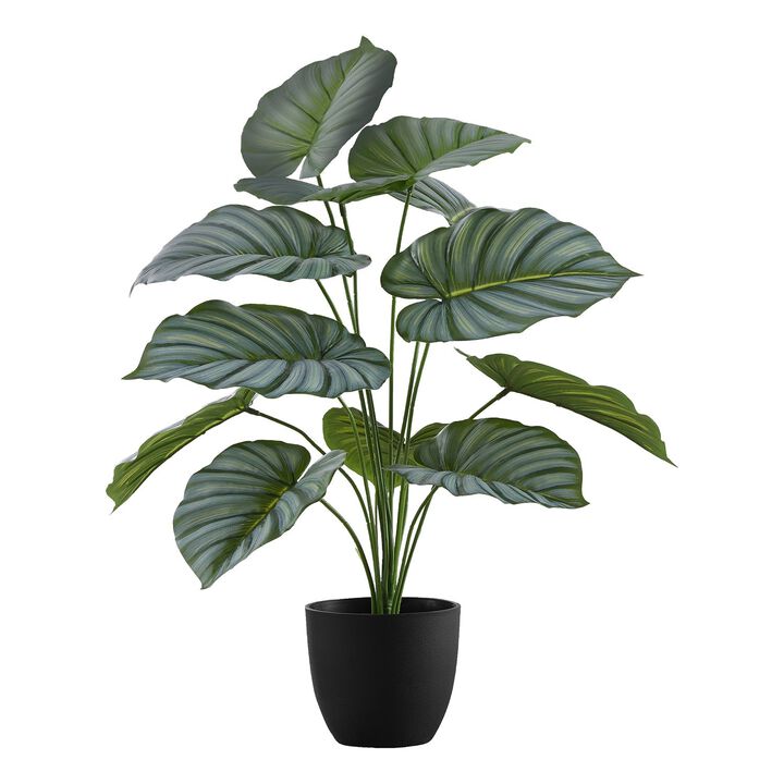 Monarch Specialties I 9577 - Artificial Plant, 24" Tall, Calathea, Indoor, Faux, Fake, Table, Greenery, Potted, Real Touch, Decorative, Green Leaves, Black Pot