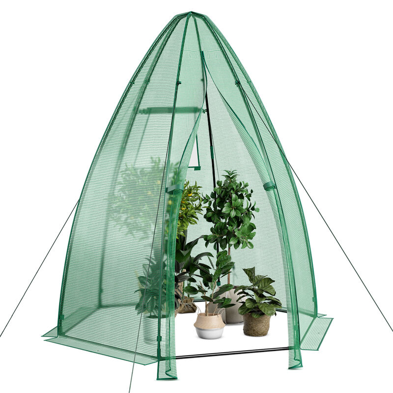 Portable Mini Greenhouse with All-Weather PE Cover