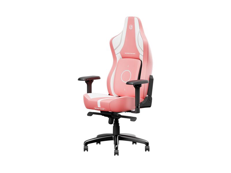 Premium Ergonomic Gaming Chair GC4