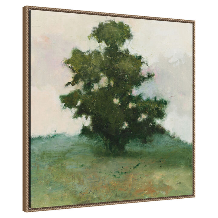 Heritage Oak I by Julia Purinton Framed Canvas Wall Art