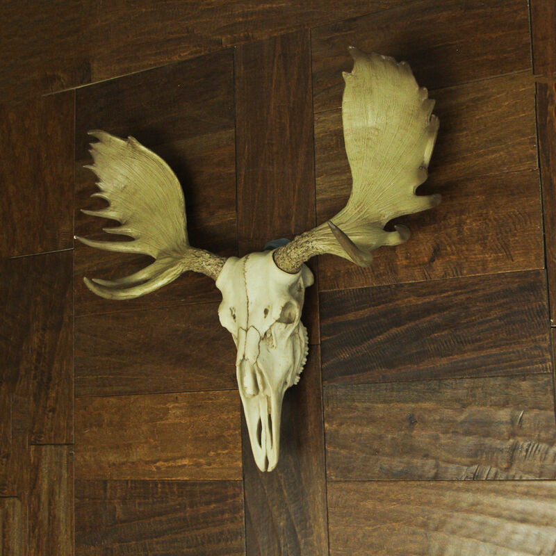 Large Lifelike Bull Moose Skull Hanging Wildlife Decor Statue image number 7